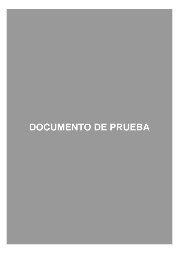 Decreto N° 452/24 Actualización de Protocolos de Actuación Policial